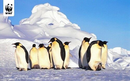 Antarctica Expedition