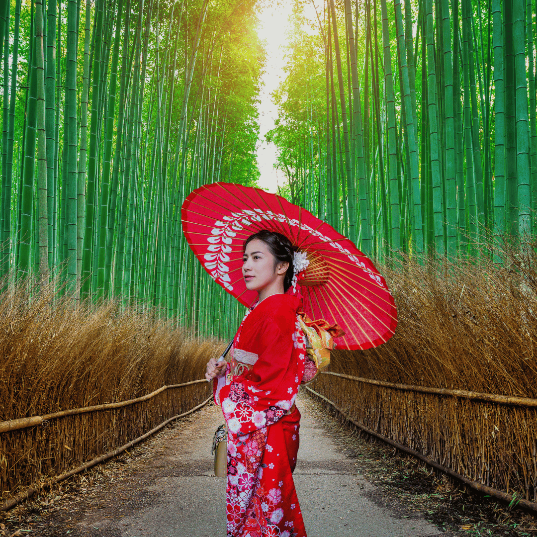 Kyoto Bamboo Forest Japan tour package with Lareleka Travel and Tours